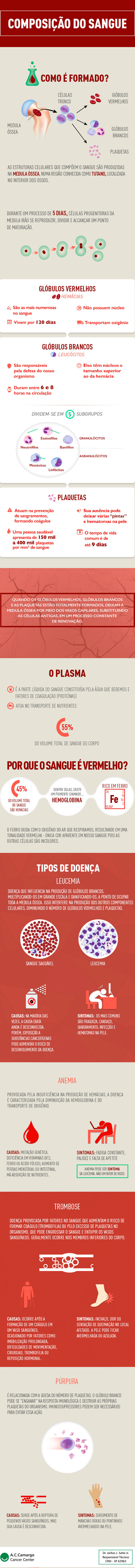 infografico_sangue